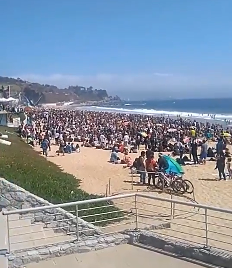 Turba de Simios Manifestantes en la Playa de Reñaca thumbnail